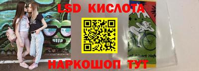 амф Новодвинск