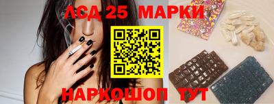 амф Новодвинск