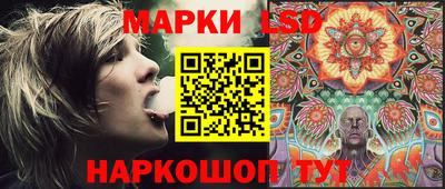 амф Новодвинск