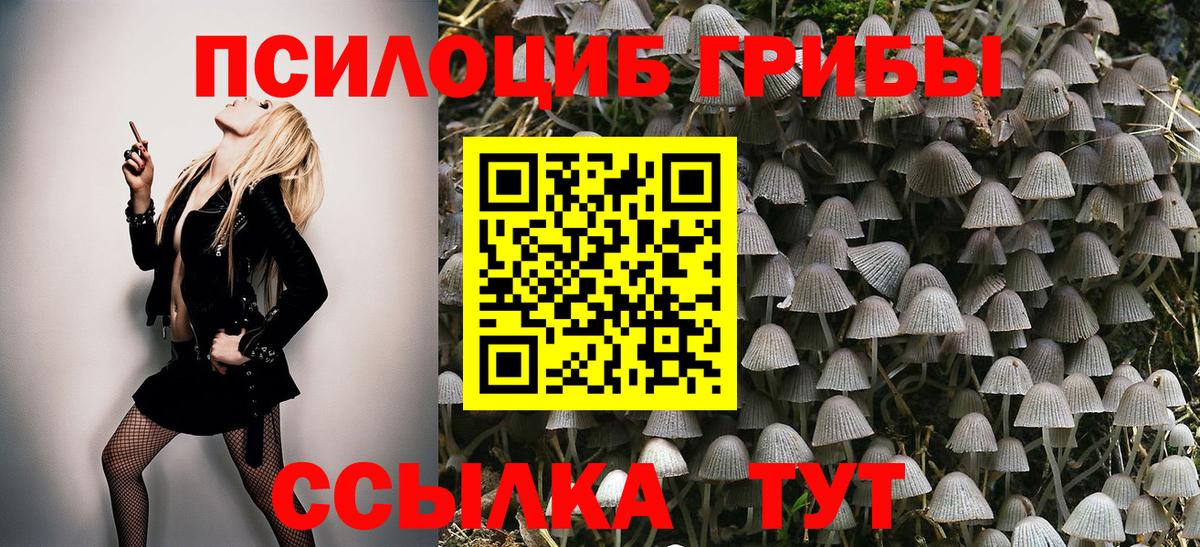 Галлюциногенные грибы Cubensis Дятьково
