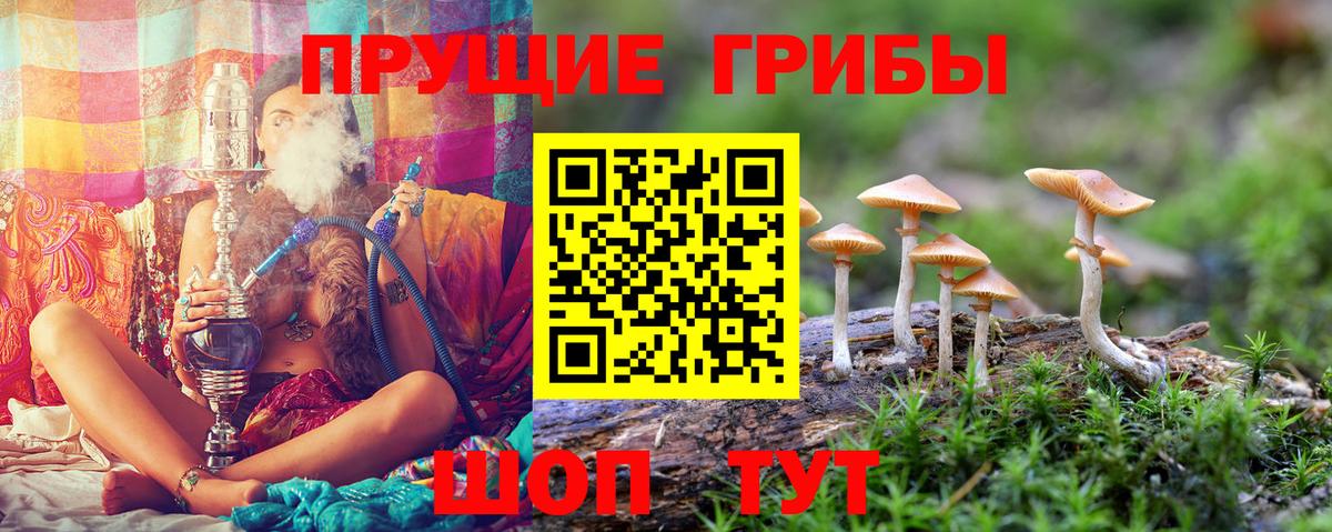 Галлюциногенные грибы прущие грибы  Вход с VPN  Дятьково 